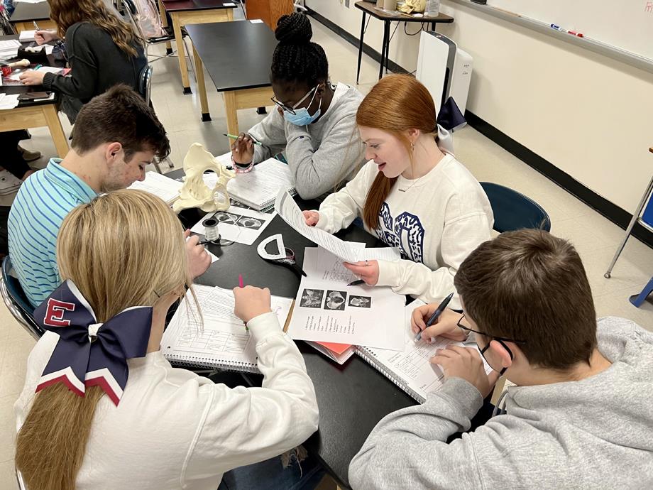Students in the Biomedical Technology class are working on a forensic assignment.