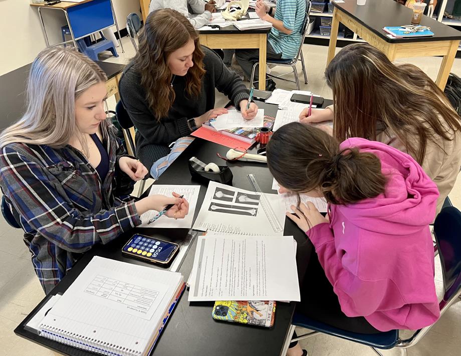Students in the Biomedical Technology class are working on a forensic assignment.