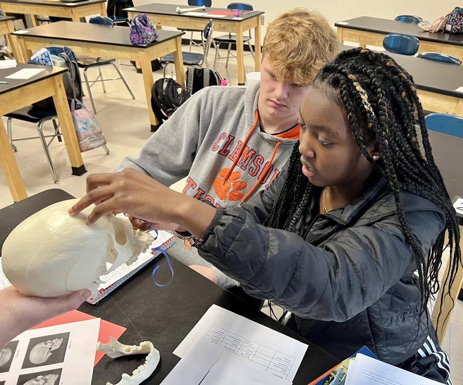 Students in the Biomedical Technology class are working on a forensic assignment.